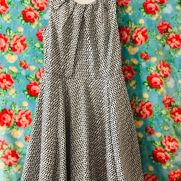 Express dress - Picture 2 of 2